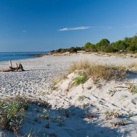Casa Degli Ulivi 2 - Seminterrato Apartamento Cala Liberotto