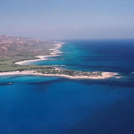 Casa Degli Ulivi 2 - Seminterrato Apartamento